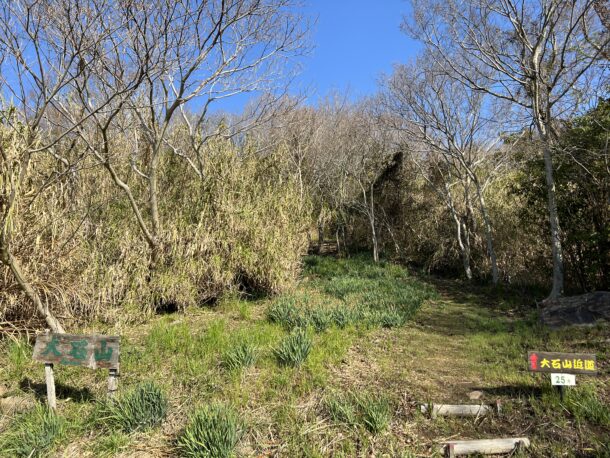 大石山登山道