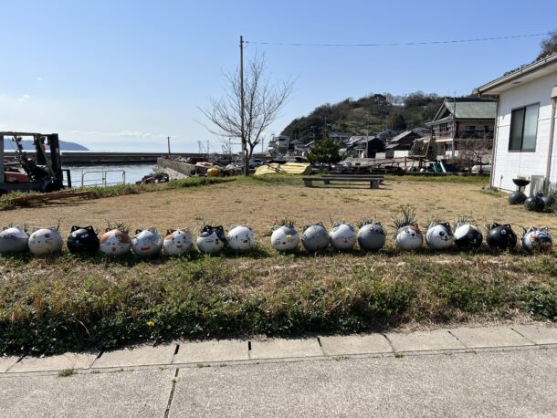 六島　前浦港　猫のブイ